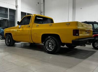 Miniatura de CHEVROLET PICK-UP S-10 Custom
