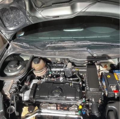 Miniatura de PEUGEOT 207 Allure