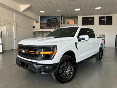 Miniatura de FORD F-150 Tremor 406cv