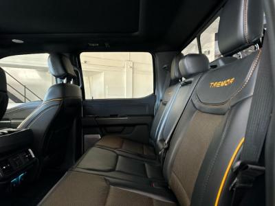 Miniatura de FORD F-150 Tremor 406cv