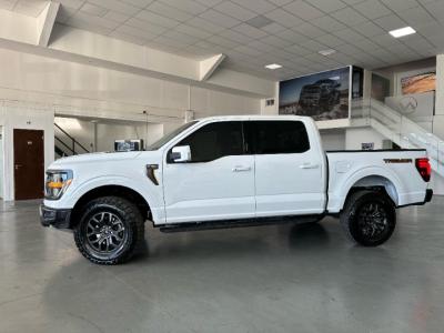 Miniatura de FORD F-150 Tremor 406cv