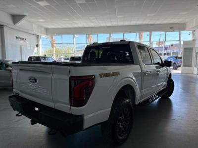 Miniatura de FORD F-150 Tremor 406cv