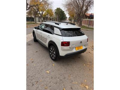 Miniatura de CITROEN C 4 CACTUS Shine AT